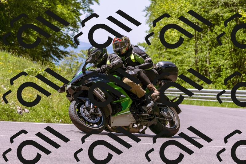 202505251058-_DSC5565_d1_