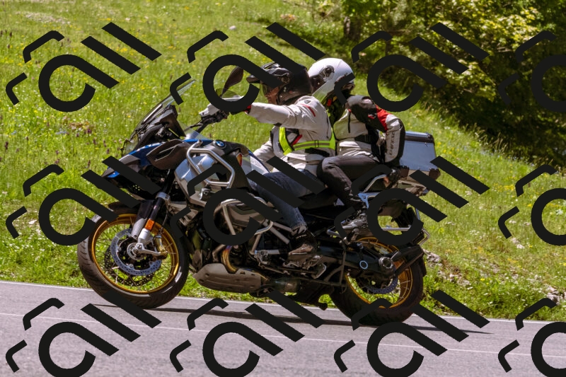 202505251058-_DSC5573_d1_