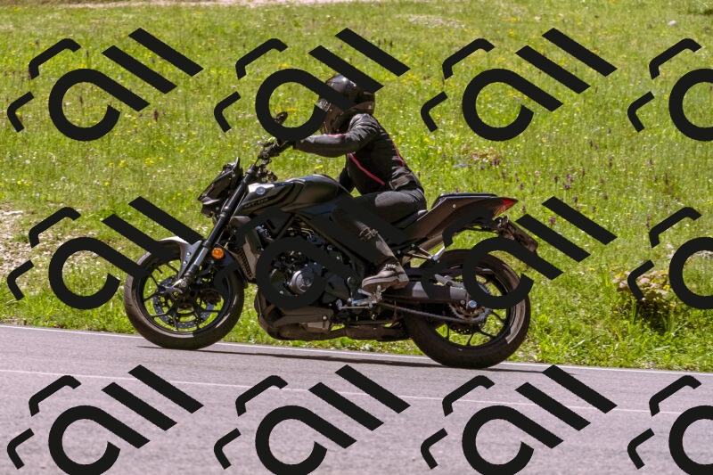 202505251058-_DSC5576_d1_