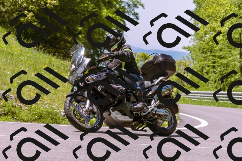 202505251059-_DSC5579_d1_