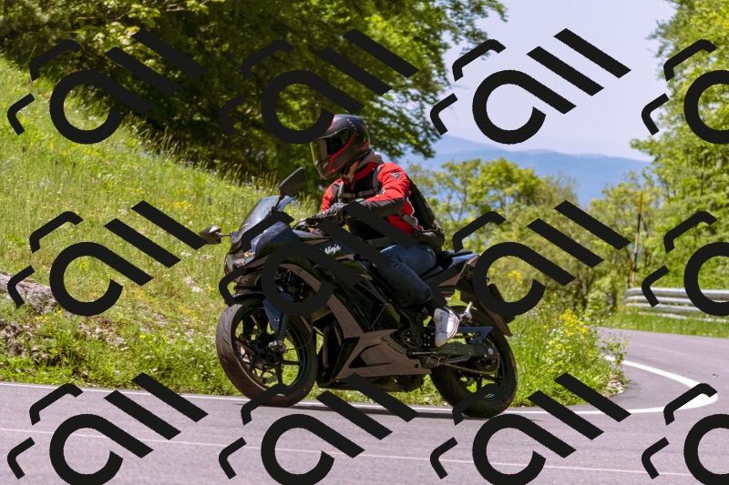 202505251059-_DSC5582_d1_