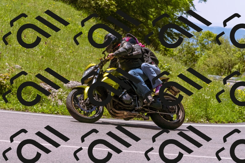 202505251104-_DSC5609_d1_