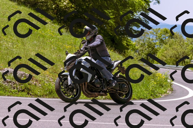 202505251105-_DSC5612_d1_