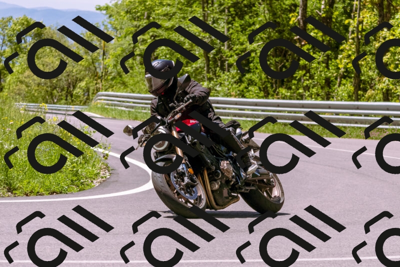 202505251109-_DSC5616_d1_