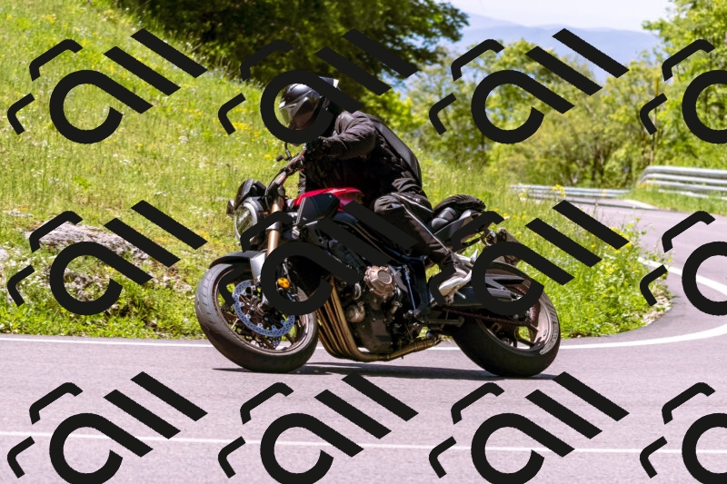 202505251109-_DSC5617_d1_