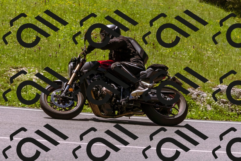 202505251109-_DSC5618_d1_