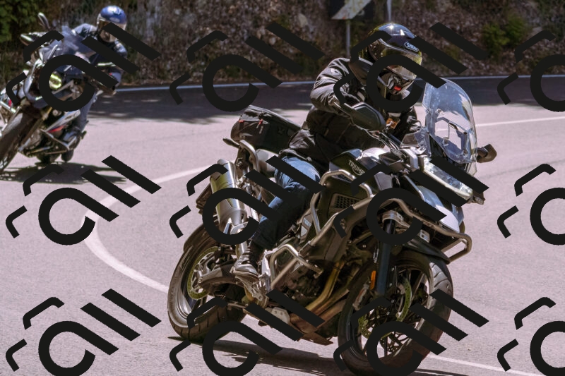 202505251118-_DSC5624_d1_