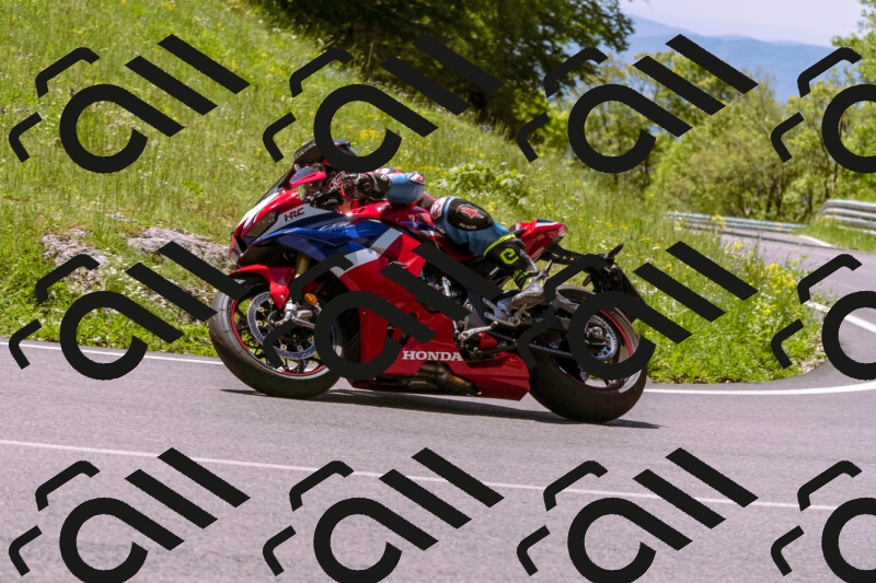 202505251120-_DSC5645_d1_