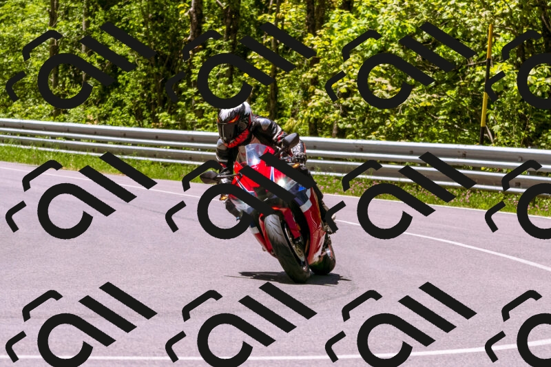 202505251121-_DSC5652_d1_