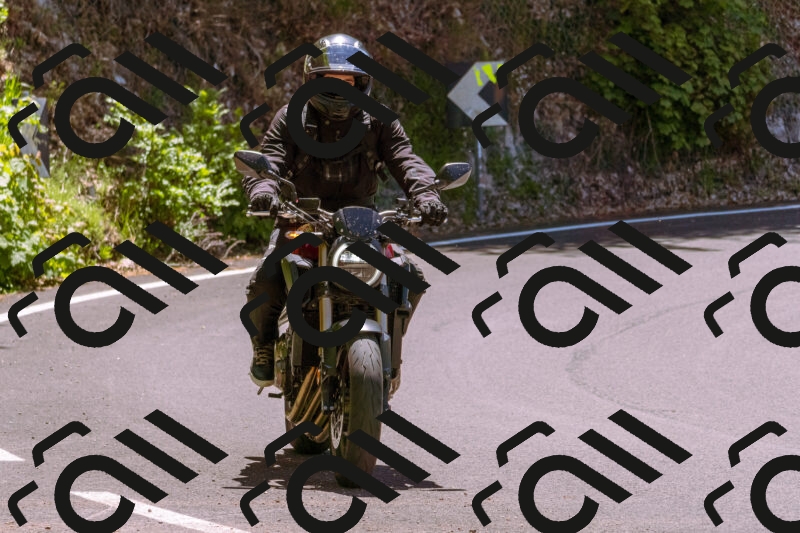 202505251123-_DSC5664_d1_