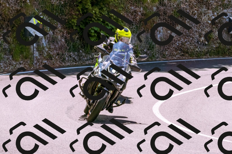 202505251125-_DSC5668_d1_