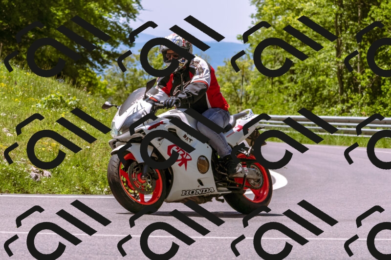 202505251125-_DSC5674_d1_