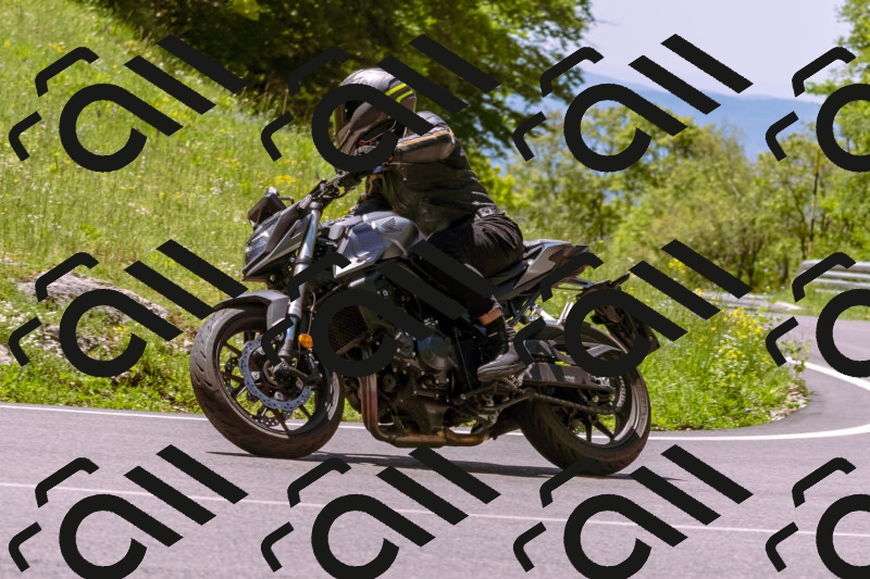 202505251126-_DSC5682_d1_