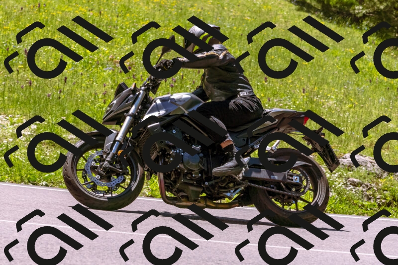 202505251126-_DSC5683_d1_