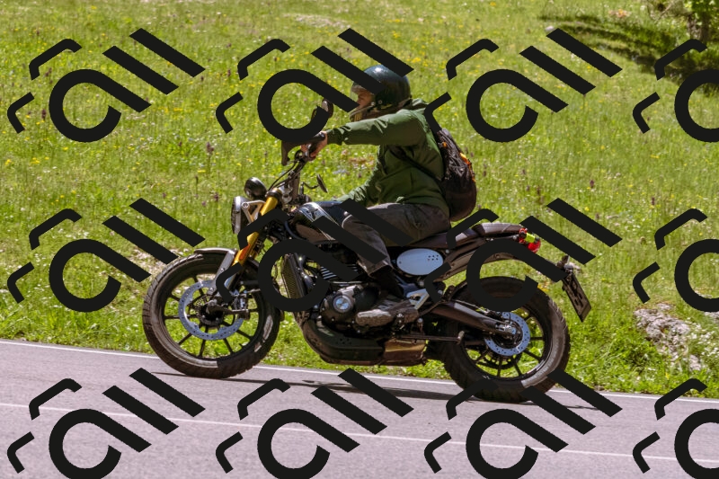 202505251127-_DSC5697_d1_