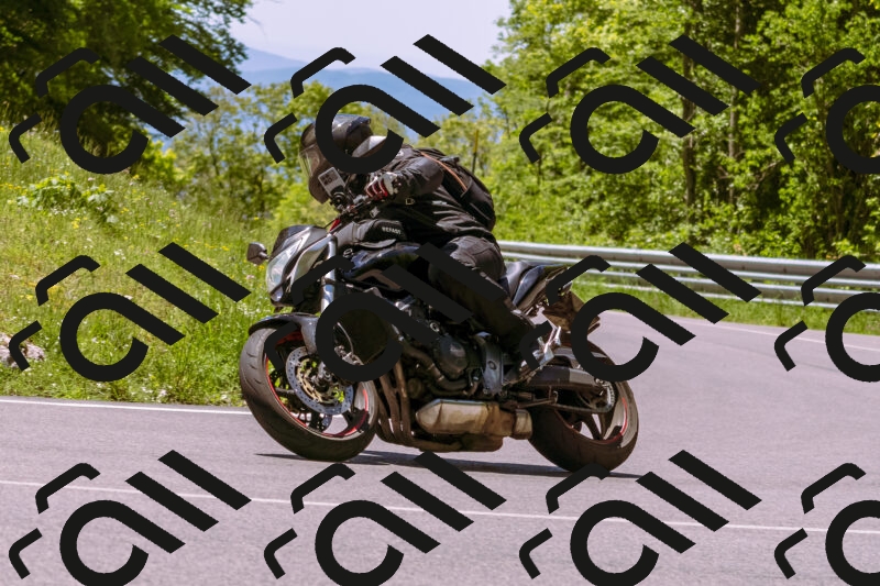 202505251127-_DSC5705_d1_