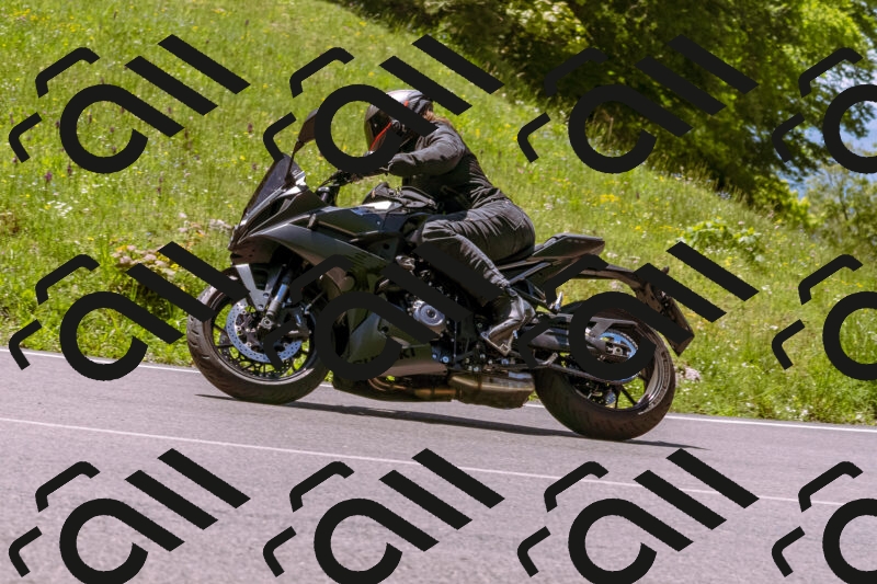 202505251127-_DSC5709_d1_