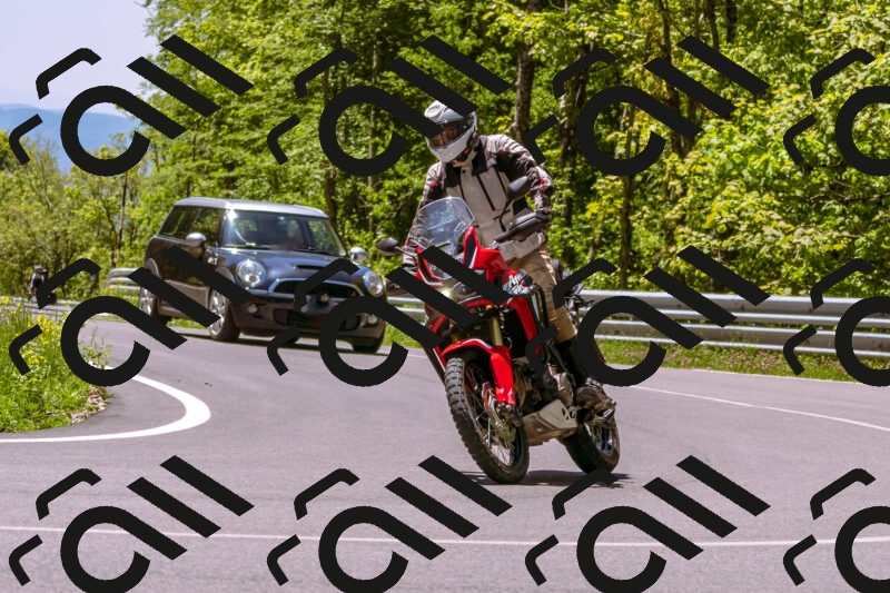 202505251127-_DSC5714_d1_