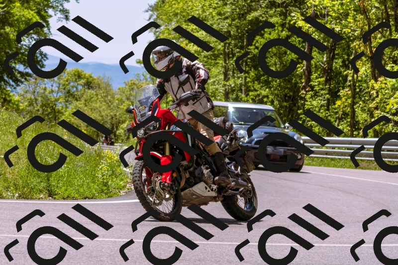 202505251127-_DSC5715_d1_