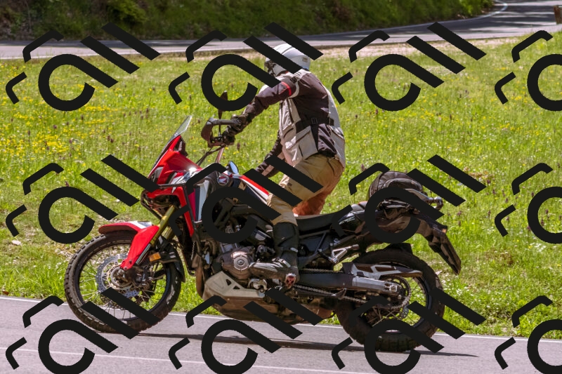 202505251127-_DSC5718_d1_