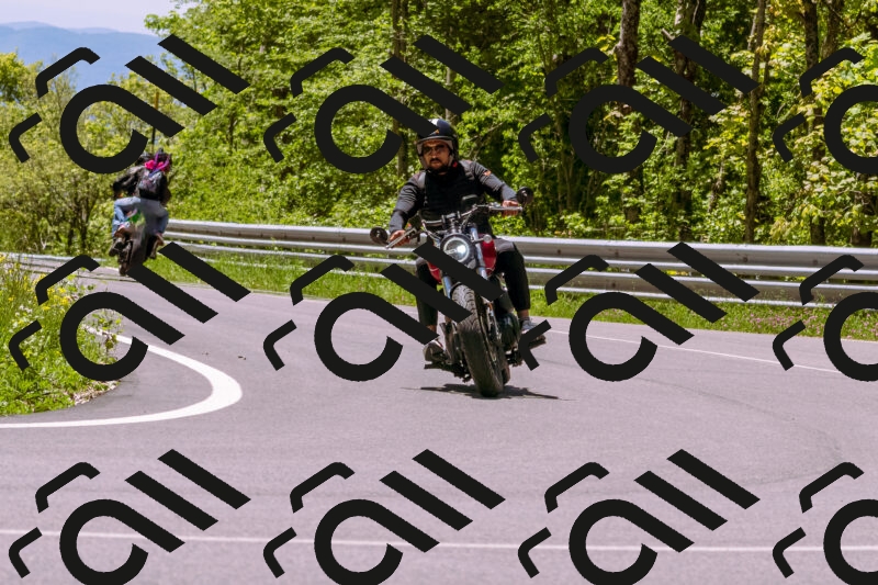 202505251135-_DSC5734_d1_