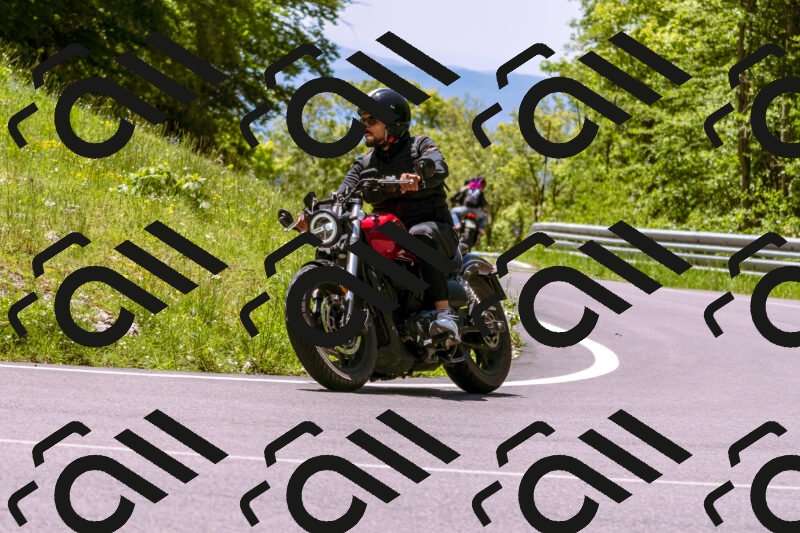 202505251135-_DSC5737_d1_