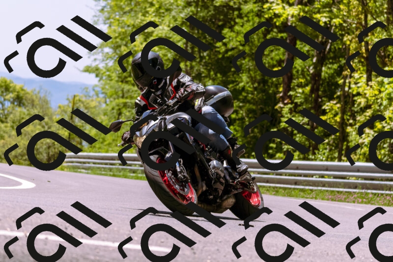 202505251139-_DSC5750_d1_