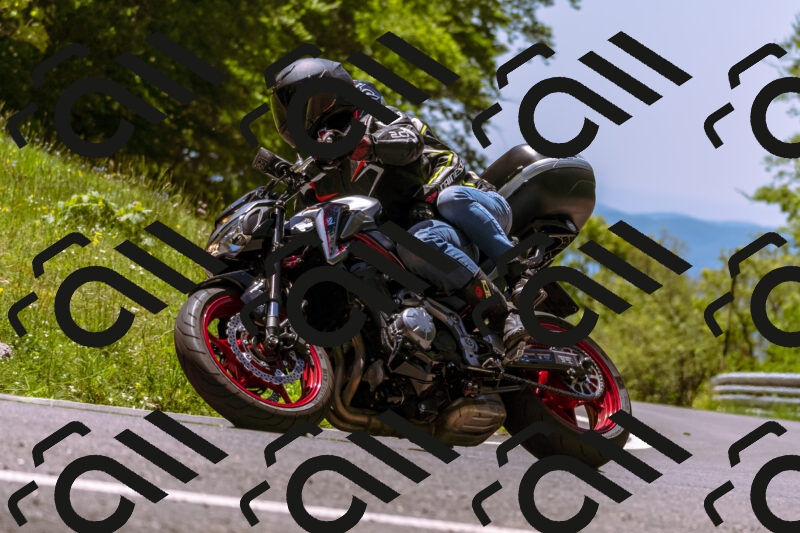 202505251139-_DSC5751_d1_