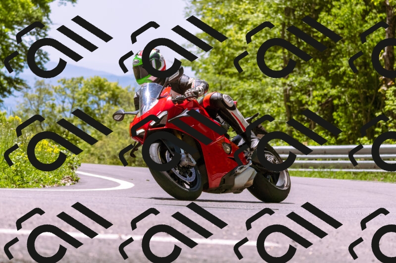 202505251139-_DSC5753_d1_