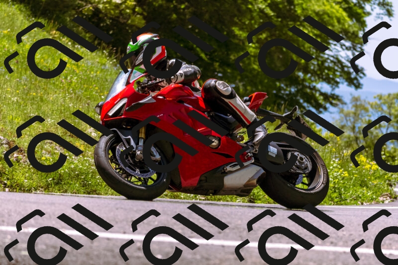 202505251139-_DSC5754_d1_