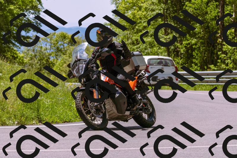 202505251143-_DSC5763_d1_