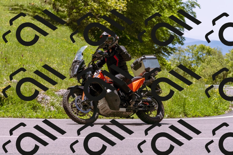 202505251143-_DSC5764_d1_