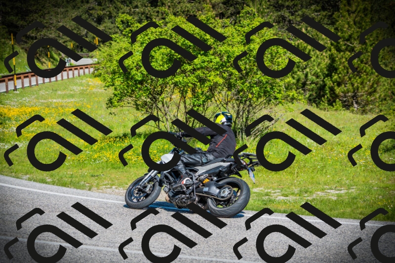 202505251009-DSC06599_c1_