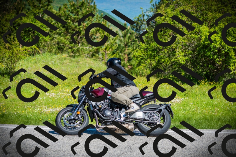 202505251011-DSC06613_c1_