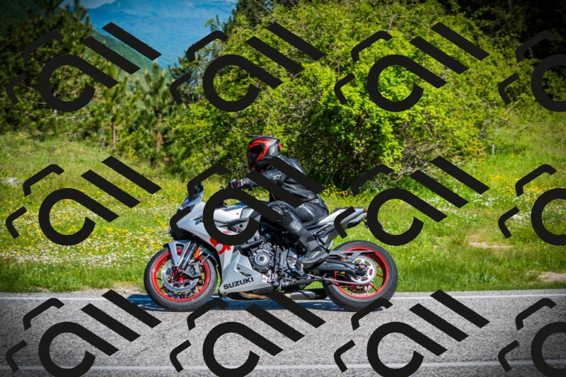 202505251011-DSC06618_c1_