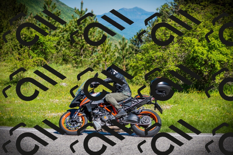 202505251016-DSC06668_c1_