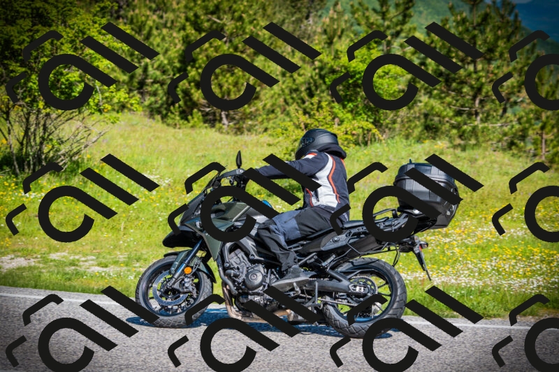 202505251016-DSC06675_c1_