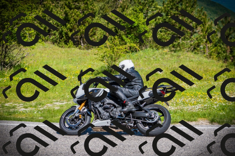 202505251018-DSC06679_c1_