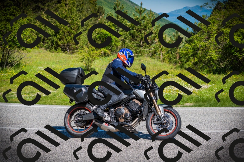 202505251018-DSC06684_c1_