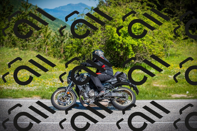 202505251018-DSC06689_c1_