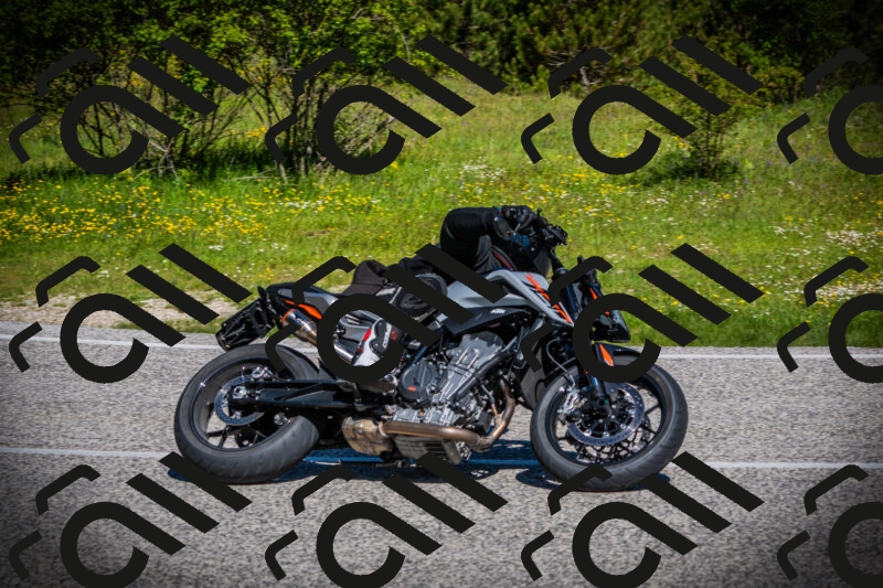 202505251019-DSC06695_c1_