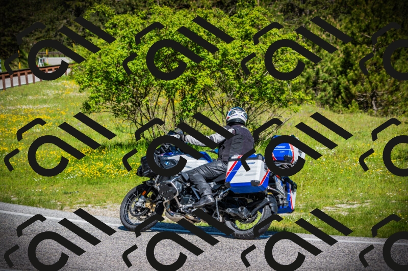 202505251020-DSC06716_c1_