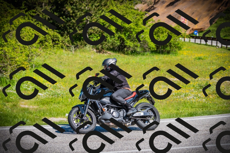 202505251020-DSC06722_c1_