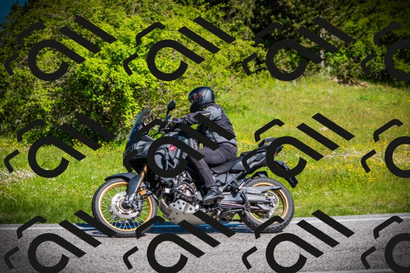 202505251020-DSC06728_c1_