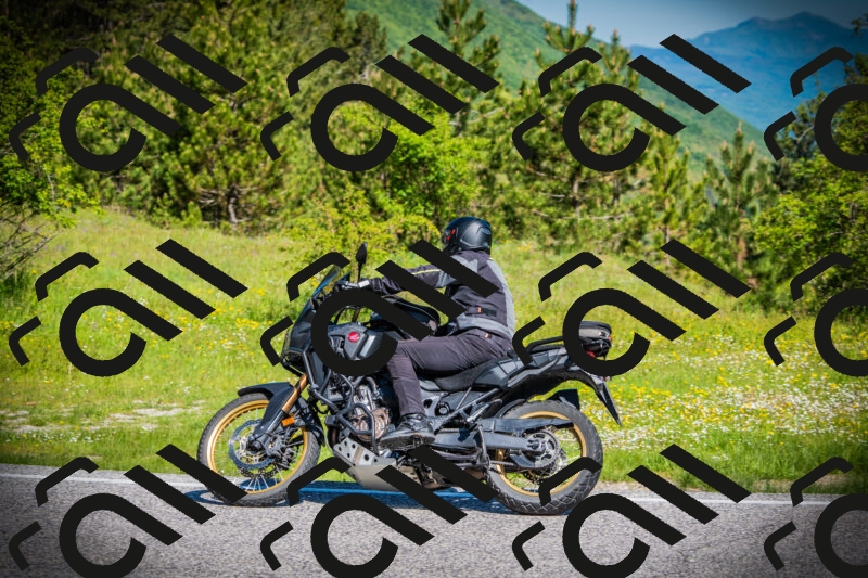 202505251020-DSC06729_c1_