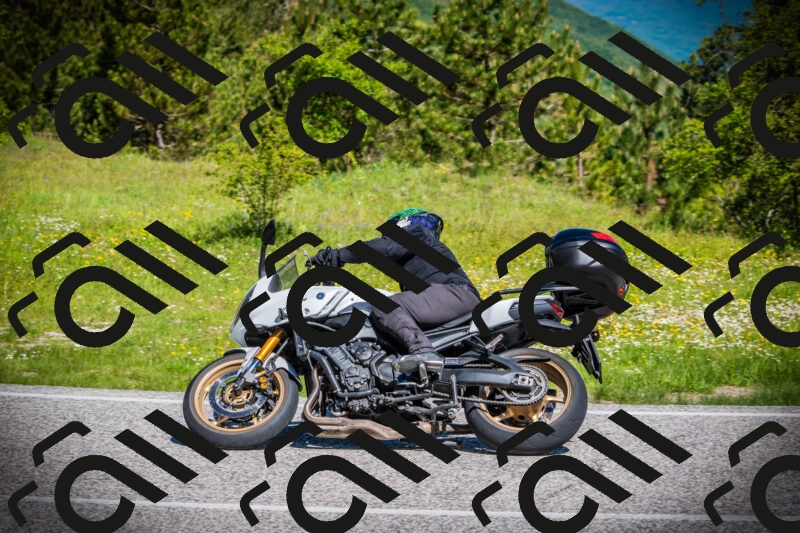 202505251021-DSC06737_c1_