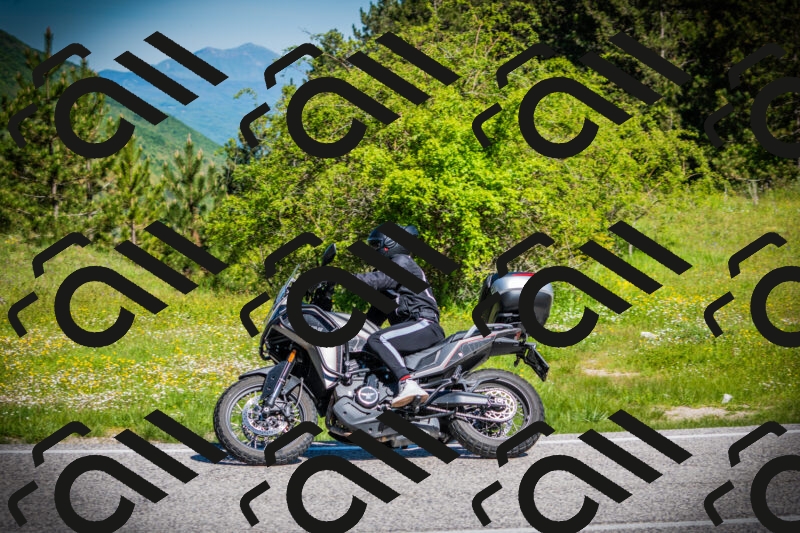 202505251021-DSC06747_c1_