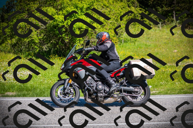 202505251022-DSC06761_c1_