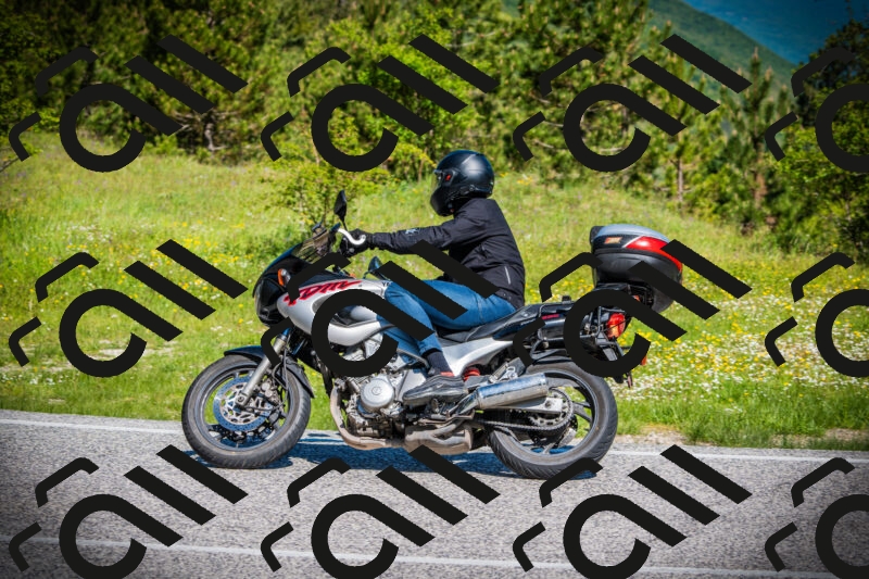 202505251022-DSC06765_c1_