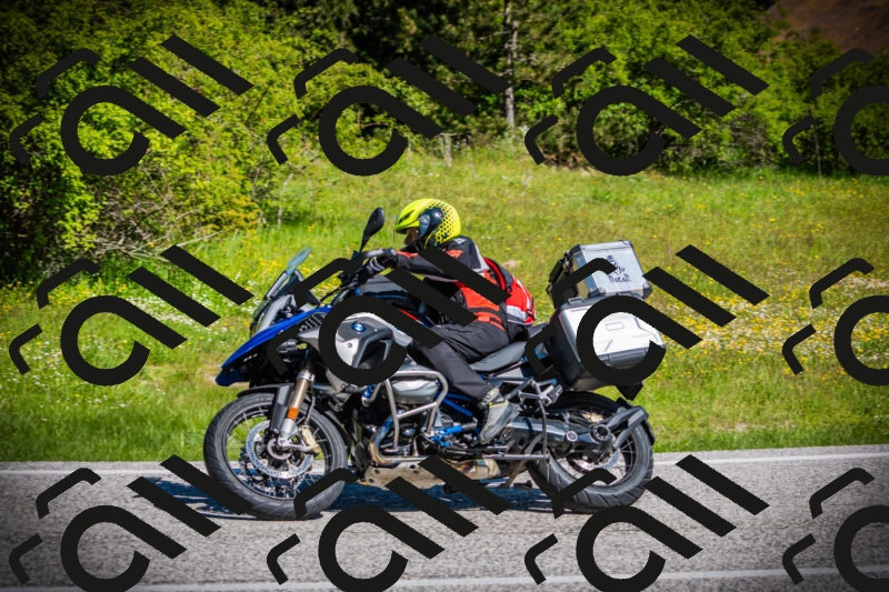 202505251023-DSC06769_c1_